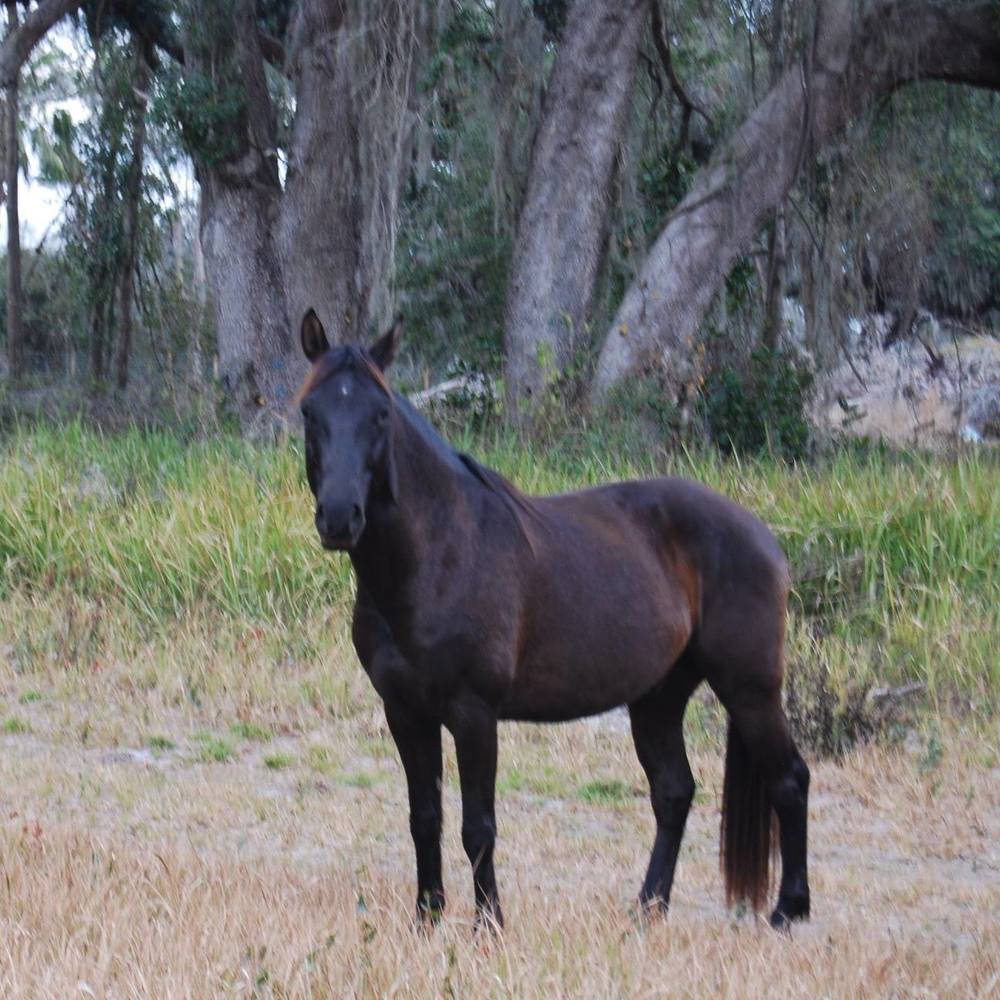 Meet your Posher, Leslie